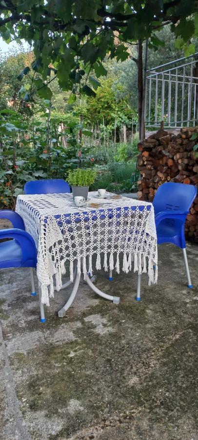 Apartament Teuta Πρεμετή Εξωτερικό φωτογραφία