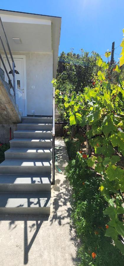 Apartament Teuta Πρεμετή Εξωτερικό φωτογραφία