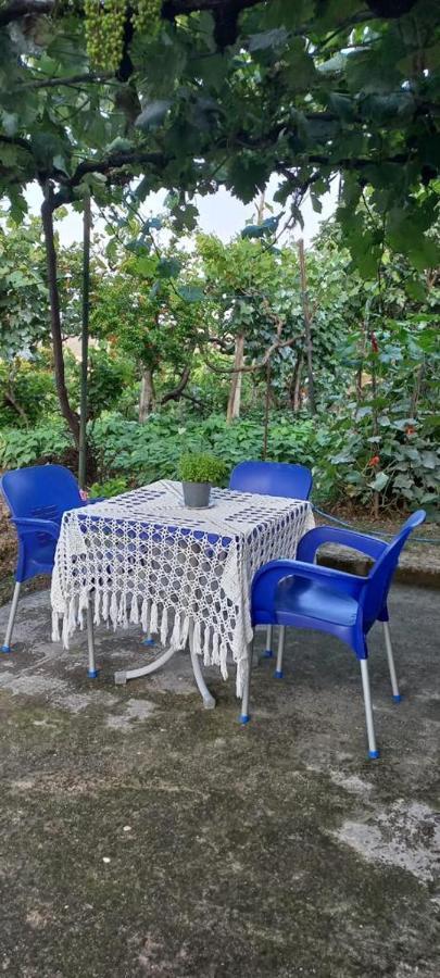 Apartament Teuta Πρεμετή Εξωτερικό φωτογραφία