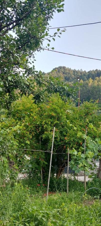 Apartament Teuta Πρεμετή Εξωτερικό φωτογραφία